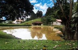 Lagoa